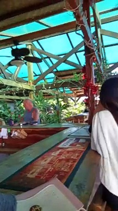 jungle bar