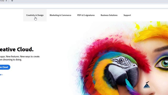 51 Graphic Design Software Installation and Activation of Adobe Illustrator & Adobe Photoshop