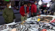 Karadeniz'de hamsi azaldı, 'çaça' avı başladı