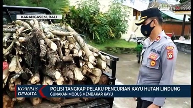 Polisi Tangkap Pelaku Pencurian Kayu Hutan Lindung, Ancaman 1 Tahun Penjara