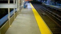 A&E|I Survived a Crime|Robbers Push Their Victim Onto Train Tracks|S1|E105
