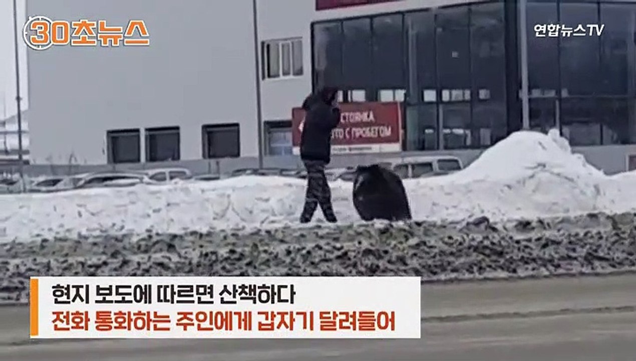 [30초뉴스] 키우던 곰 산책 중 주인 공격…사건의 결말은