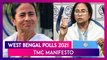 TMC Manifesto For West Bengal Polls 2021: Mamata Banerjee Promises Minimum Annual Income, Special Credit Card For Students