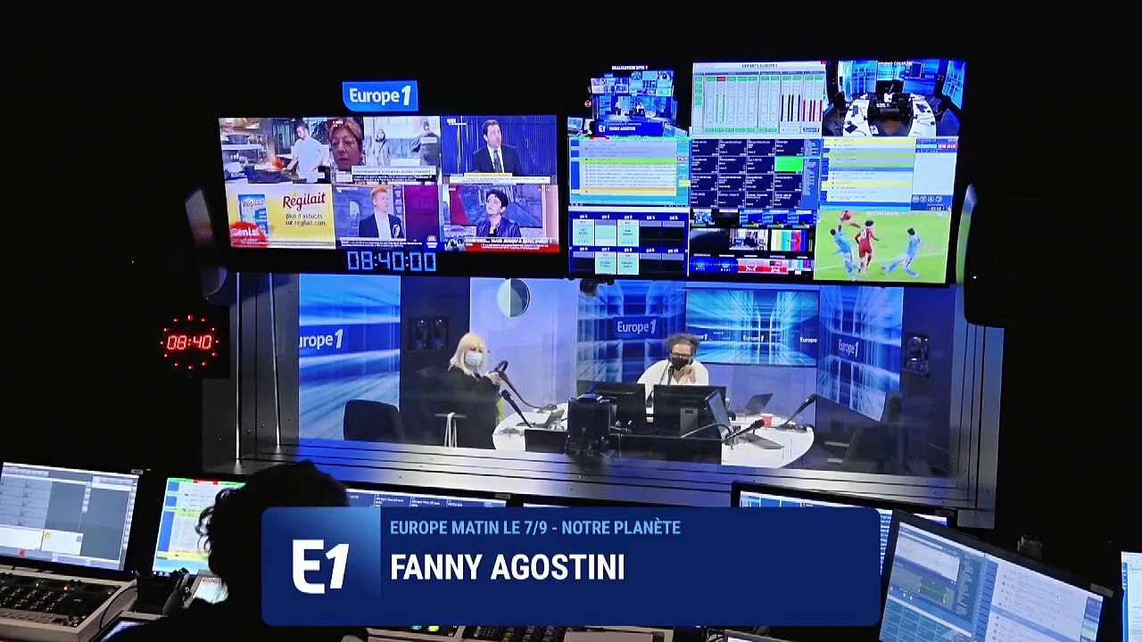 Énergies renouvelables : des éoliennes vibrantes pour préserver les poissons et les oiseaux