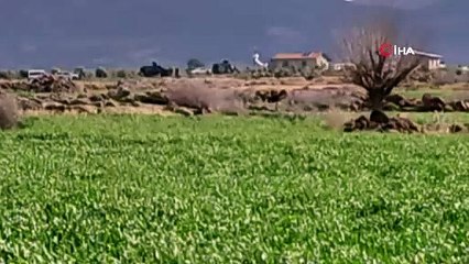 Hatay'da çatışma: 4 terörist etkisiz hale getirildi