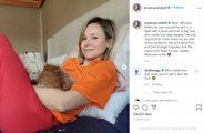 Kristen Bell adopts three-legged dog named Whiskey