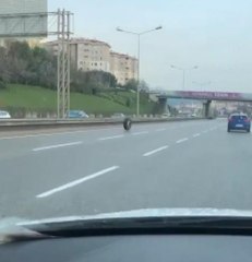 OTOYOLDA SÜRÜCÜLERİ ŞAŞIRTAN GÖRÜNTÜ