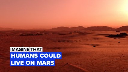 Imagine humans lived on Mars