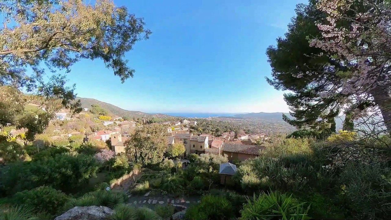 Bormes-les-Mimosas