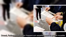 Toulouse - contrôlé pour le couvre-feu, il frappe le chien policier à coups de poings et de pieds