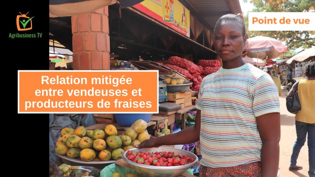 Point de vue : Relation mitigée entre vendeuses et producteurs de fraises