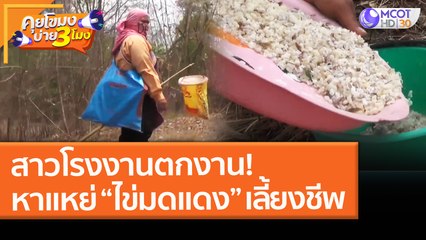 สาวโรงงานตกงาน! หาแหย่ “ไข่มดแดง” เลี้ยงชีพ (18 มี.ค. 64) คุยโขมงบ่าย 3 โมง