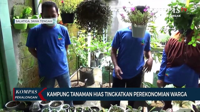 Kampung Tanaman Hias Tingkatkan Perekonomian Warga