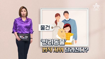 [팩트맨]반려동물은 현행법상 ‘물건’?…법적 지위, 달라지면?