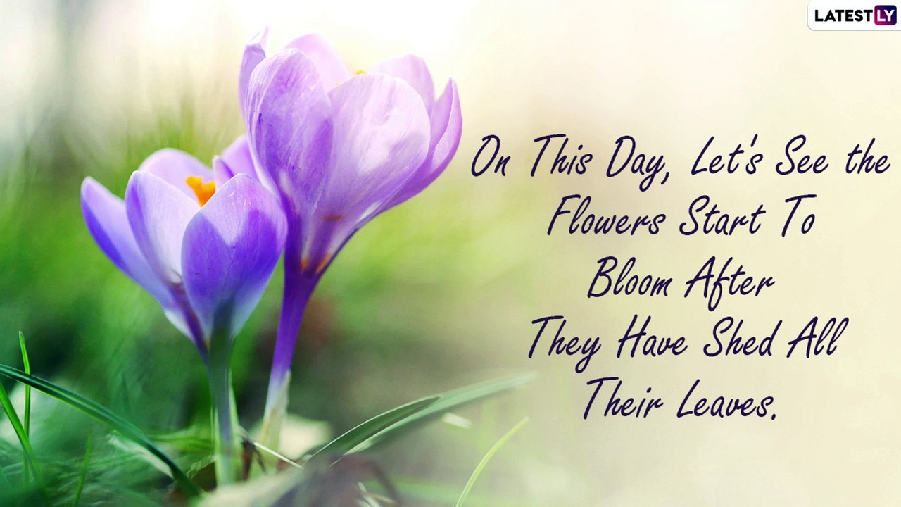 Spring Equinox 2021 Wishes: Beautiful Greetings and Messages to Send On the First Day of Spring