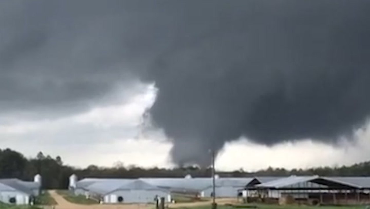 Tornadoes and heavy rains strike the Southeast