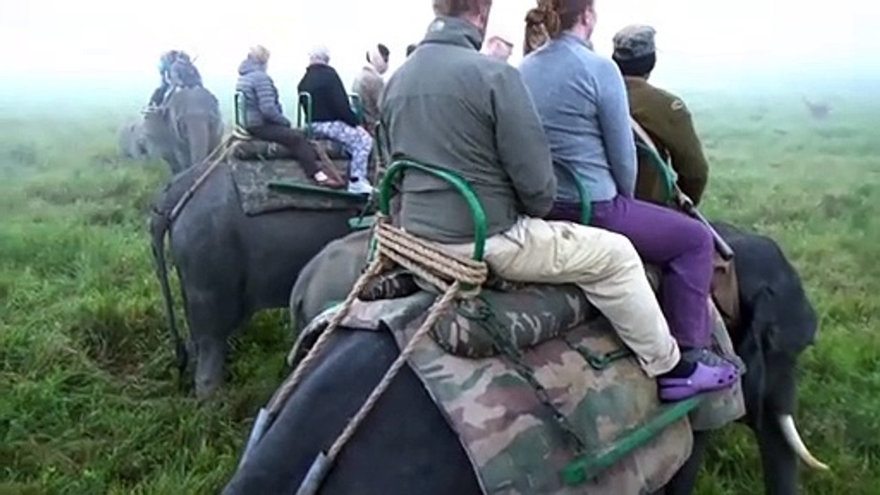 Kaziranga