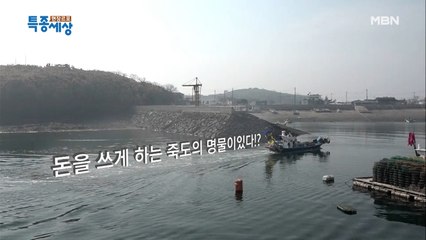 지갑을 열게 하는 강아지가 있다! [귀염뽀짝]