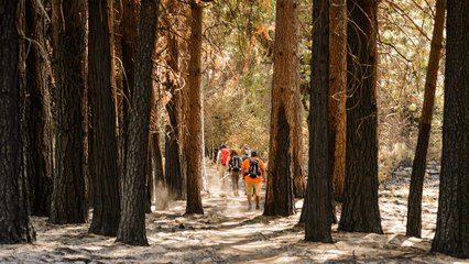 Tupperware Is Teaming up With the National Parks Service to Divert 10M Plastic Bottles