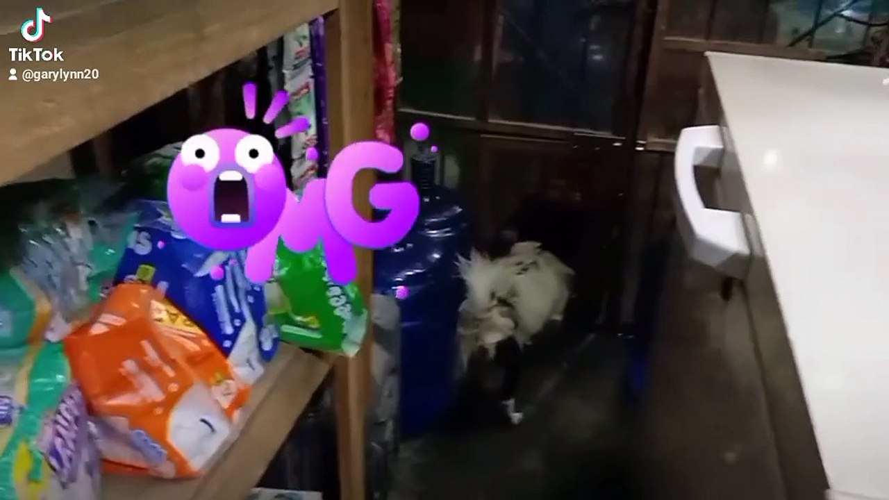 Tiktok # 4