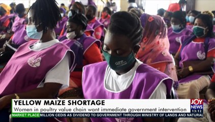 Yellow Maize Shortage Women in poultry value chain want immediate government intervention - The Market Place on JoyNews (18-3-21)