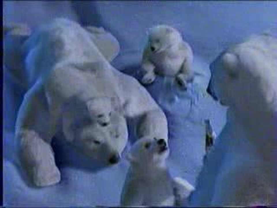 Publicité Coca Cola