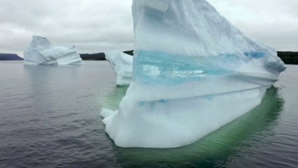 ¿Qué produjo el desprendimiento de un iceberg de más de mil kilómetros cuadrados en la Antártida?