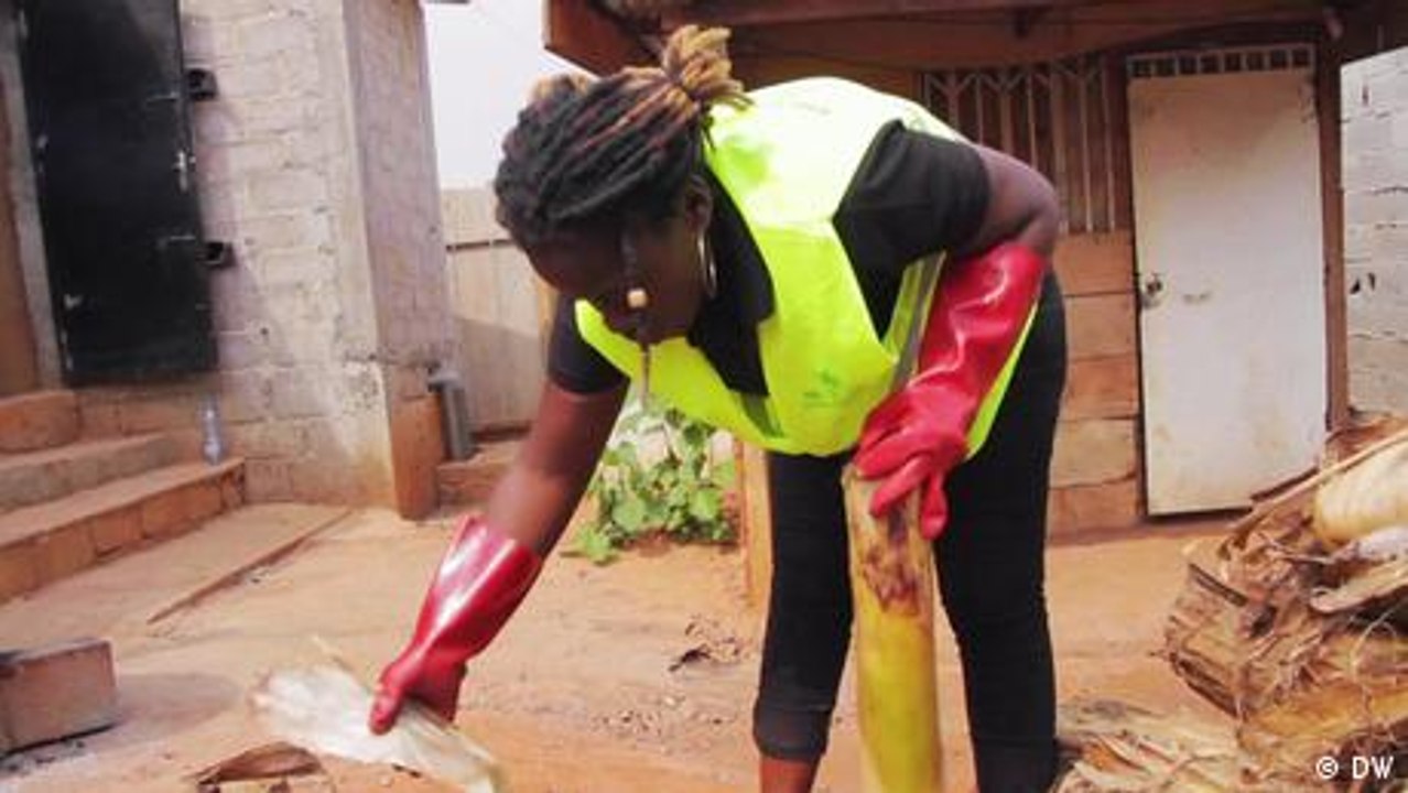 Doing Your Bit: Making biodegradable packaging from banana stems