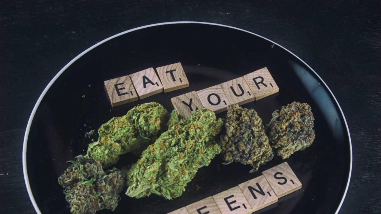 Cannabis Is the Secret Ingredient in 'Chopped 420'
