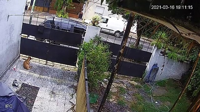 Hacía willy con la moto, chocó a un joven de 21 años y lo dejó en grave estado