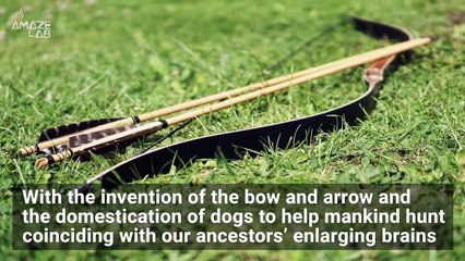 Killing Off Large Land Mammals Was Key to Humanity’s Brains Getting Bigger