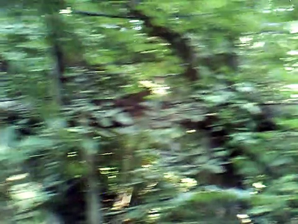 shady grove c