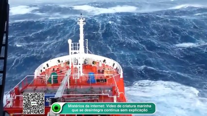 Mistérios da internet- Video de criatura marinha que se desintegra continua sem explicação.png
