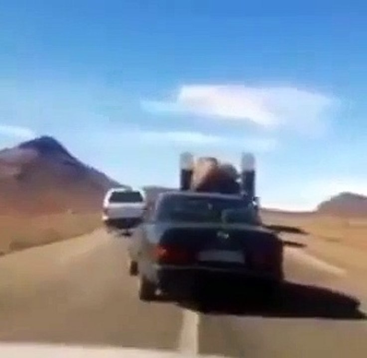 ماذا يحصل في مدينة فكيك؟
