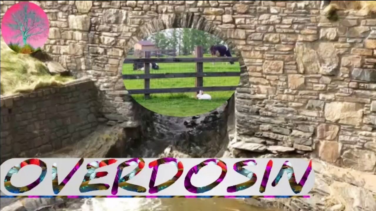 Overdosin   ||  Female Version ||