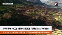 Aún hay focos de incendios forestales activos en Chubut y Río Negro