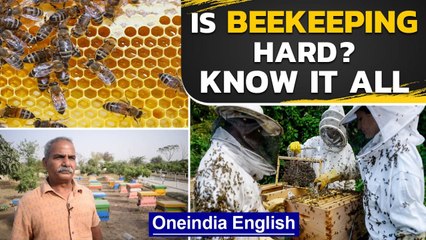 Know where your honey comes from, how is it procured and what is the process | Oneindia News