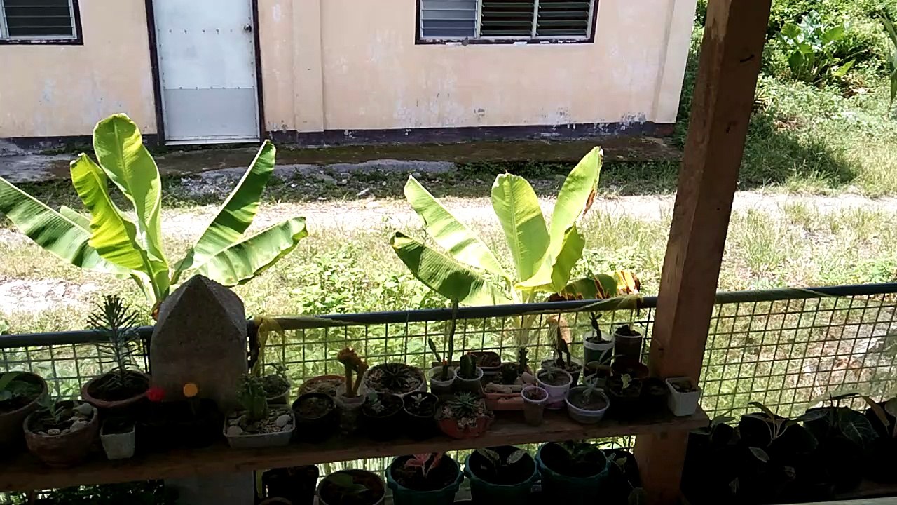 ang dalawang mag asawang saing 