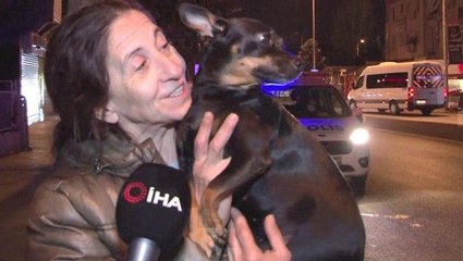 Evi saran dumanları, köpeği sahibini uyandırarak haber verdi