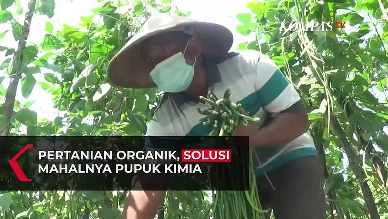 Pertanian Organik, Solusi di Tengah Mahalnya Harga Pupuk Kimia