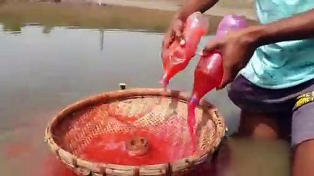 Unbelievable Fishing Technique Underground Monster Catfish Catching New Style Best Fish Video | CreativeVilla.
