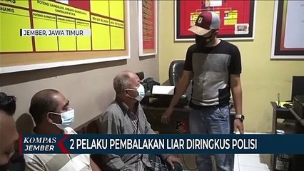 2 Pelaku Pembalakan Liar Hutan Lindung Diringkus Polisi