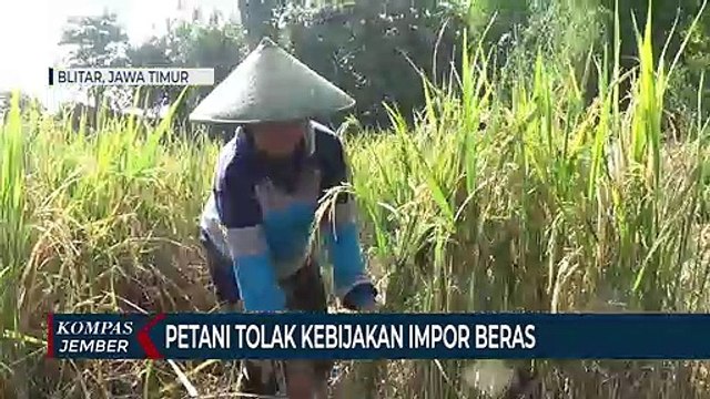 Petani Tolak Kebijakan Pemerintah Impor Beras, Karena Dinilai Merugikan