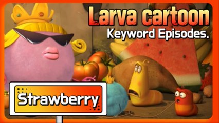 KEYWORD CARTOON | Strawberry | Larva Official Channel | Best animation | part.2