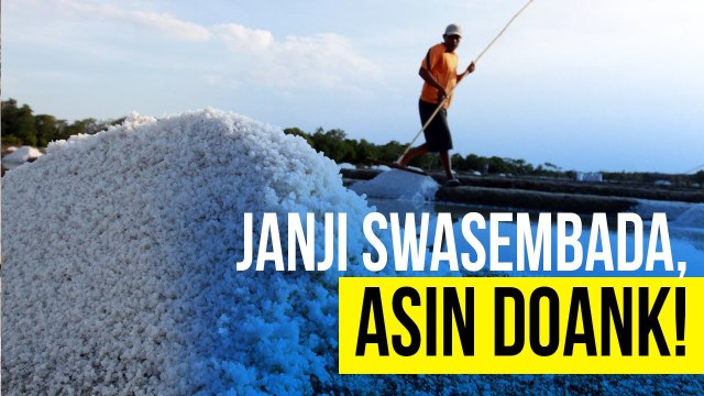Pemerintah Gemar Impor, Garam Lokal Kurang Asin?
