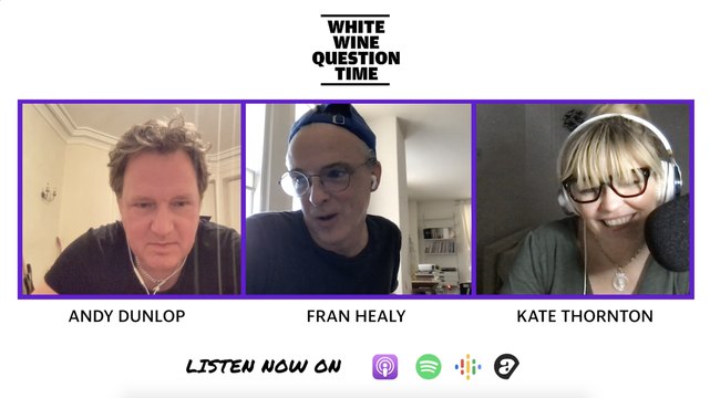 Fran Healy from Travis discusses what Travis: The Movie would look like