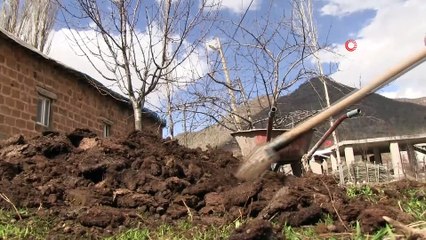 Şırnak'ta ahırdan tarlaya organik gübre mesaisi başladı