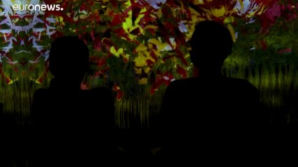 شاهد: المعرض الفني الأحدث في طوكيو.. إبداع وساونا في آن واحد