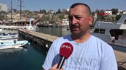 Zehirli trakonya balığı hastanelik etti