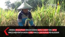 Petani Blitar Tolak Rencana Impor Beras